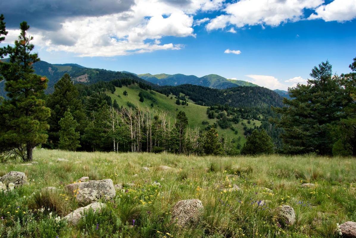 Destiny Cabin, 2 Bedrooms, Fireplace, Midtown, Sleeps 7 Ruidoso Exteriör bild